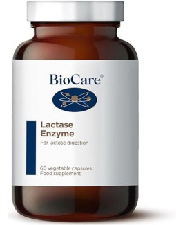 Lactase Enzyme