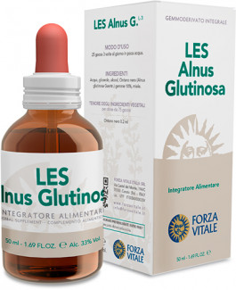 LES Alnus glutinosa