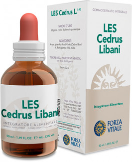 LES Cedrus libani