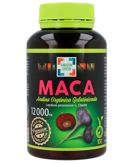 Maca Andina Orgánica Gelatinizada