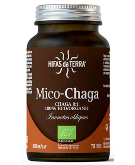 Mico-Chaga de Hifas da Terra