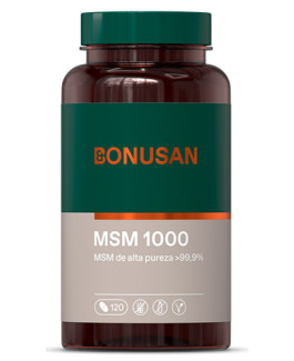 MSM 1000