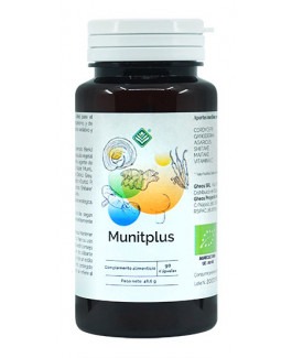 Munitplus
