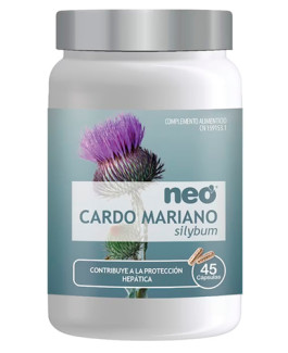 Cardo Mariano Neo