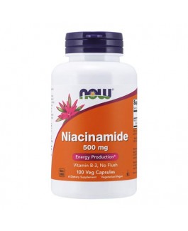 Niacinamide (B-3) 500 mg de NOW