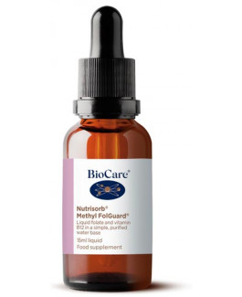 Nutrisorb Liquid MethyFolGuard