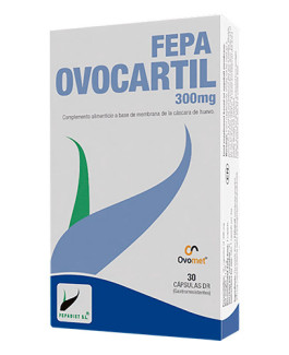 Ovocartil