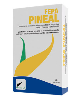 Pineal