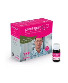 Plantaggio RP