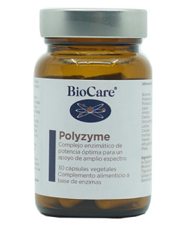 Polyzyme