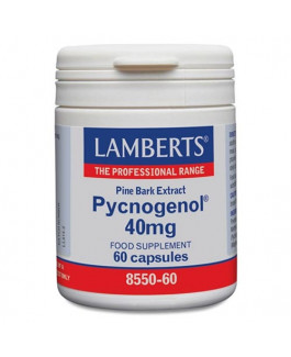 Pycnogenol Lamberts