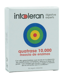 Quatrase Forte de Intoleran