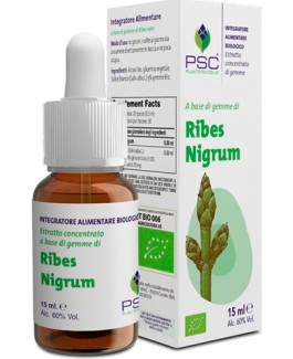 Ribes nigrum PSC