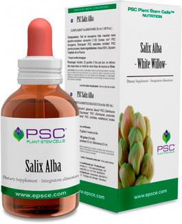 Salix alba PSC