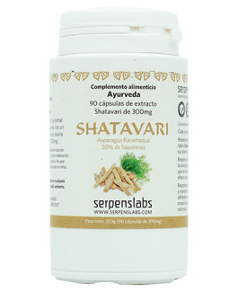 Shatavari