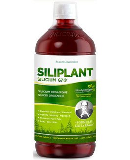 Silicium G7 Siliplant