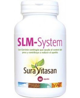 SLM-System