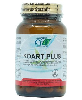 Soart Plus