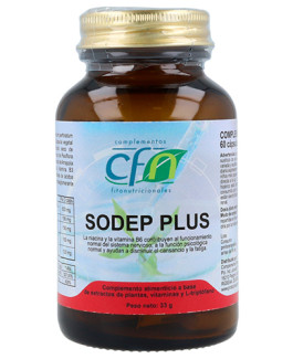 Sodep Plus