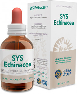 SYS Echinacea