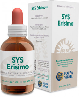 SYS Erisimo