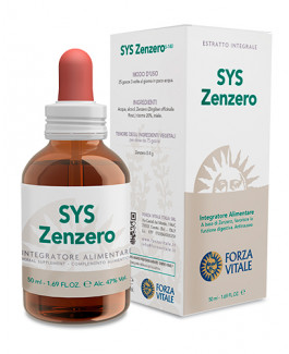 SYS Zenzero