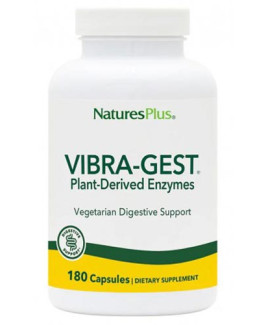 VIBRA-GEST