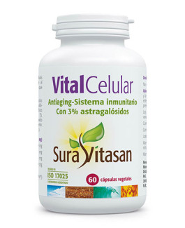 Vital Celular