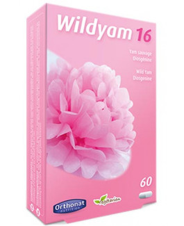 Wildyam 16