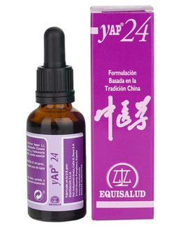 YAP 24