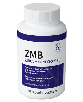 ZMB BSB Labs