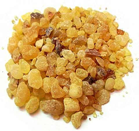 BoswelliaSelect