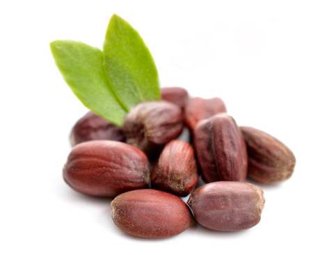 Aceite de Jojoba Eco Labiatae