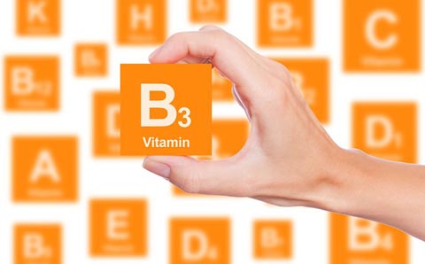 Comprar Vitamina B3