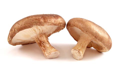 Comprar Shiitake Sura Vitasan