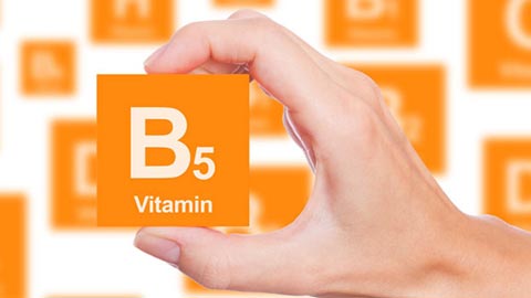Comprar Vitamina B5 Sinergy