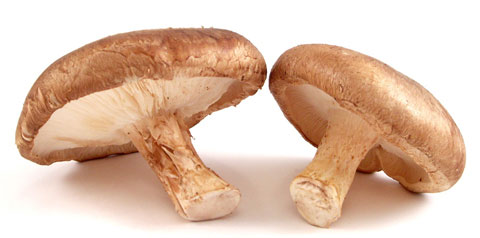 Dónde comprar Shiitake cápsulas